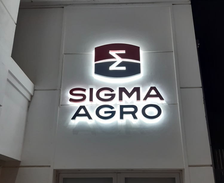 Luminorte Corporeos Iluminacion Difusa