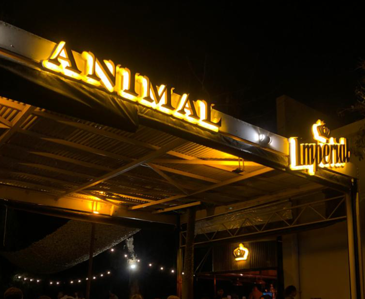 Luminorte Corporeos Iluminacion Difusa