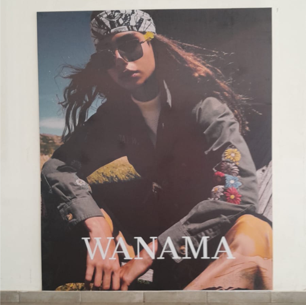 Luminorte.com Rotulacion Ploteo de paredes