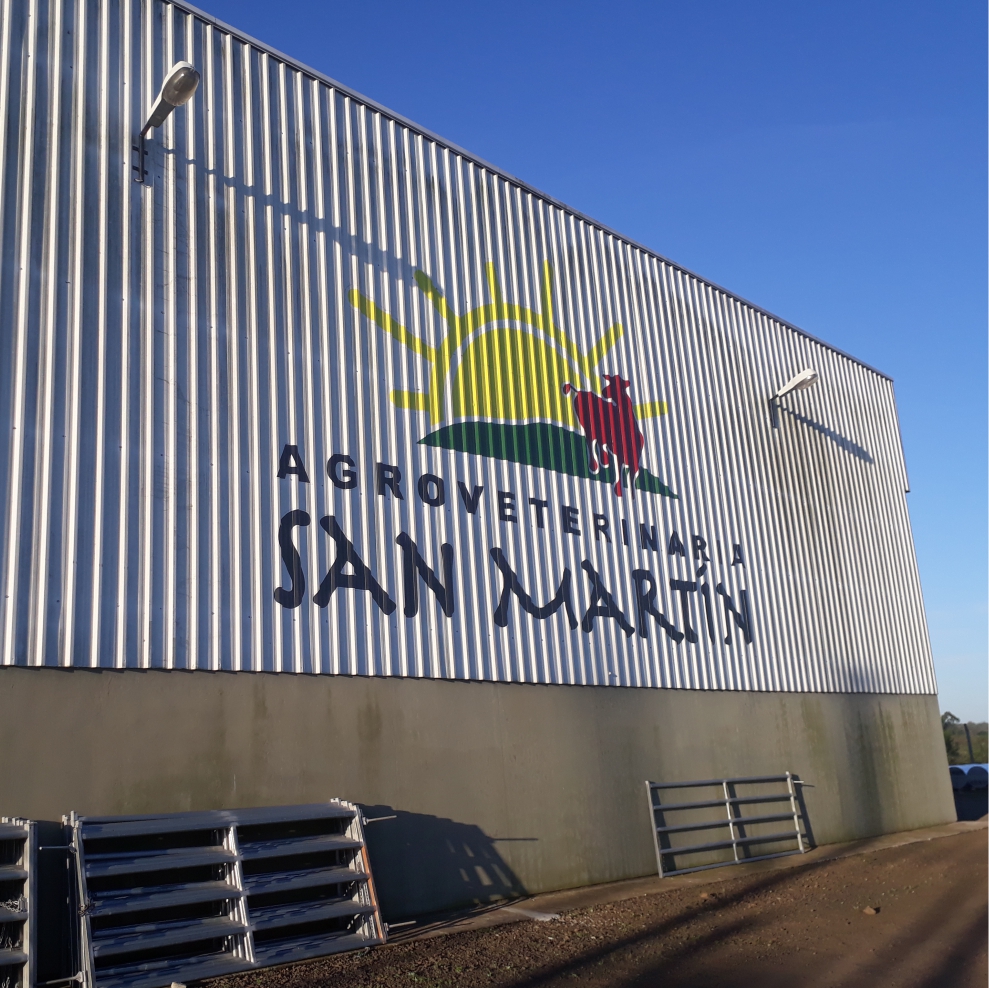 Luminorte.com Rotulacion Ploteo de paredes